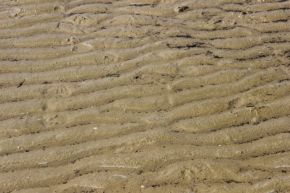 nasser_Sand_IMG_1331.jpg