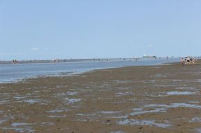 Watt_IMG_1311.jpg