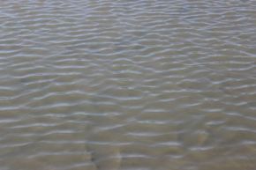 Watt_mit_Wasserspiegel_IMG_4_1315.jpg