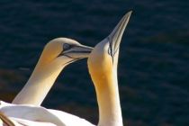 288973_web_R_K_by_x-ray-andi_pixelio.de.jpg